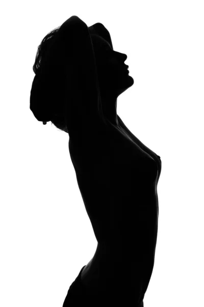stock image Silhouette of a naked sexy young woman