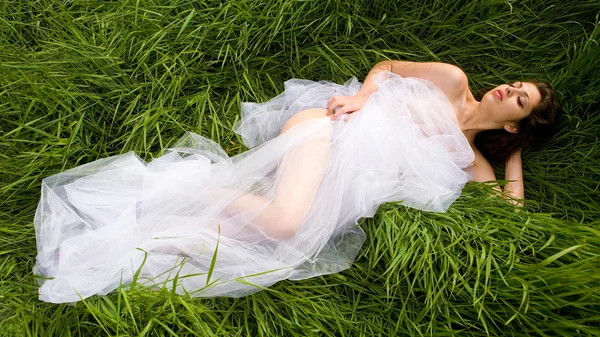 stock image The sexual girl on a meadow